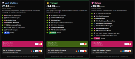 Soulkyn Ai comapnion cost